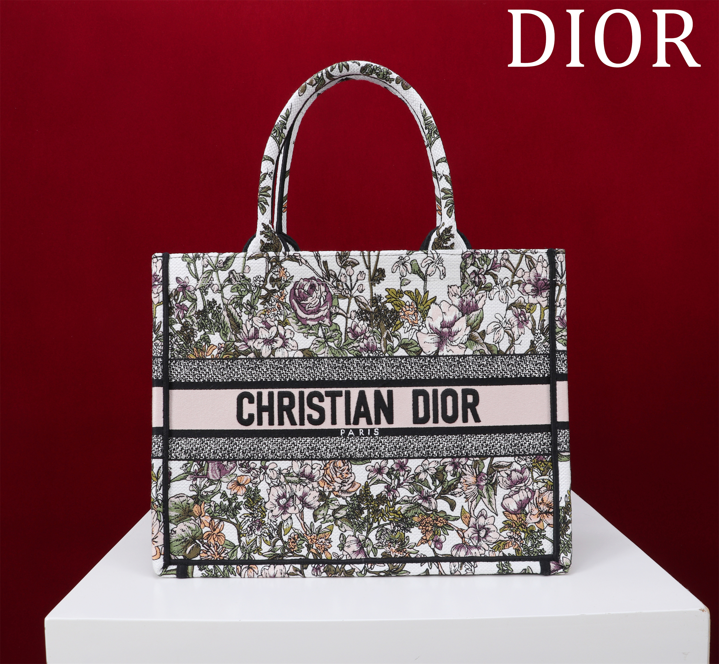 Dior Bag – CDBG1008