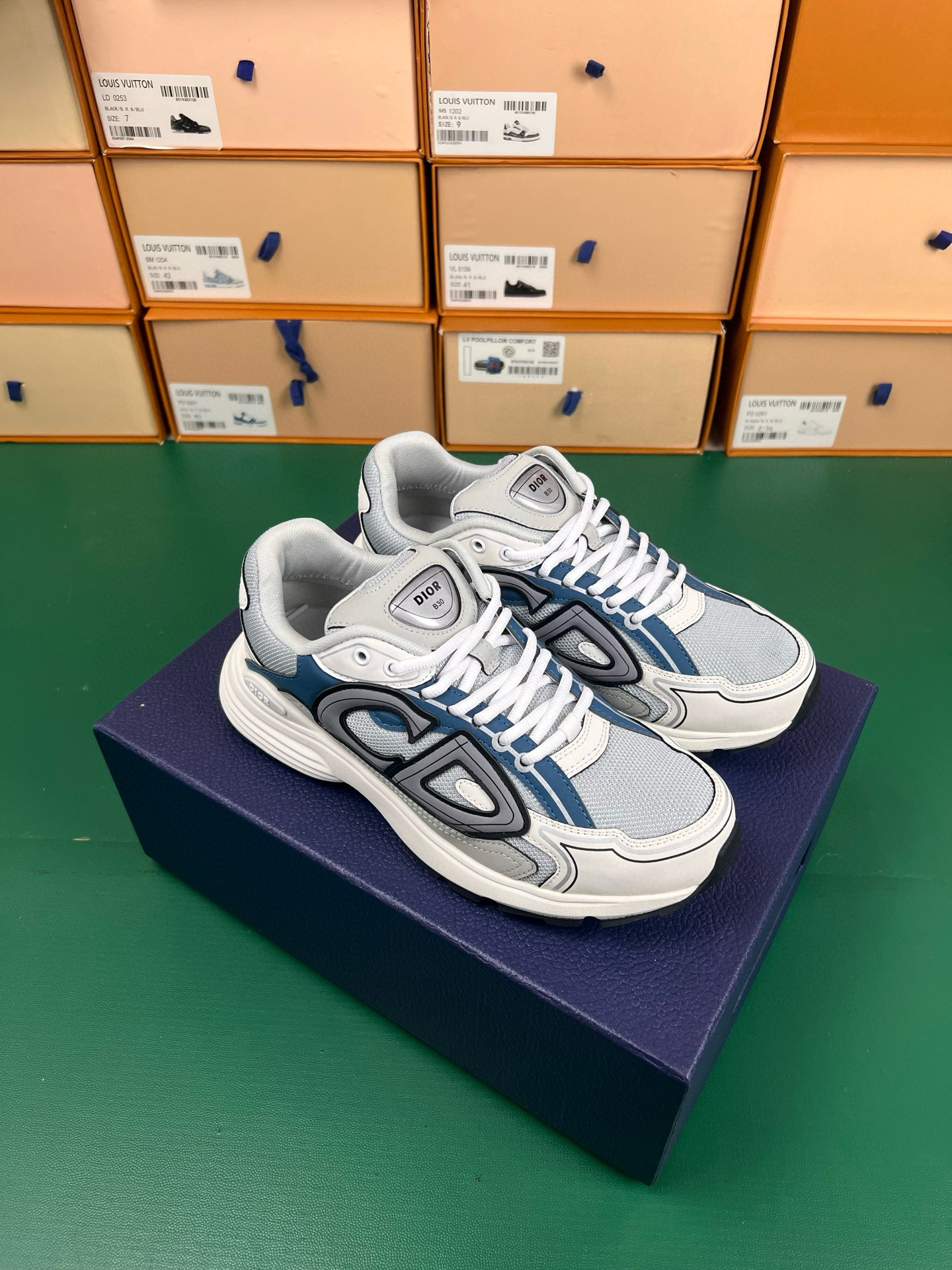 Dior B30 Sneaker – DIOR1362