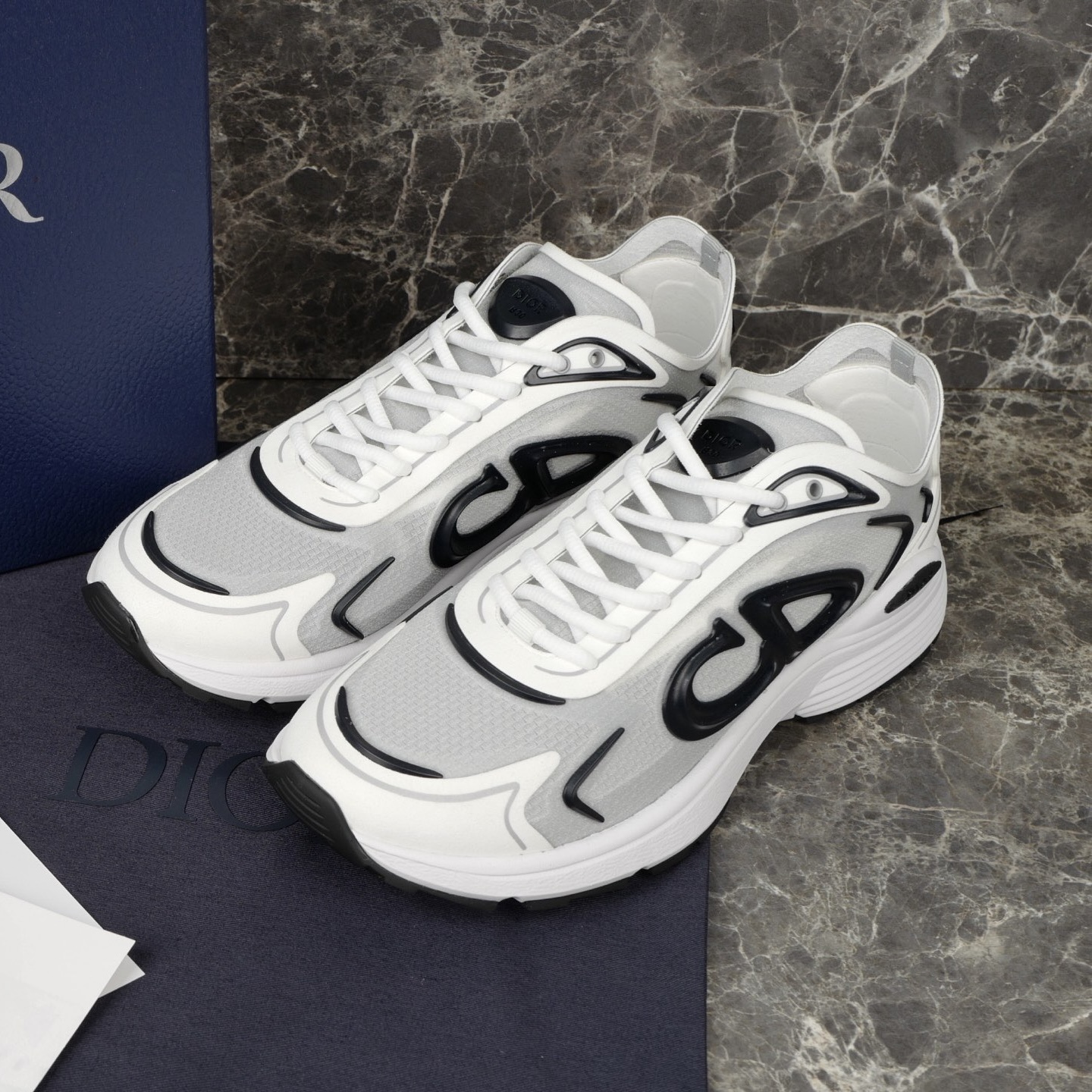 Dior B30 Sneaker – DIOR1369