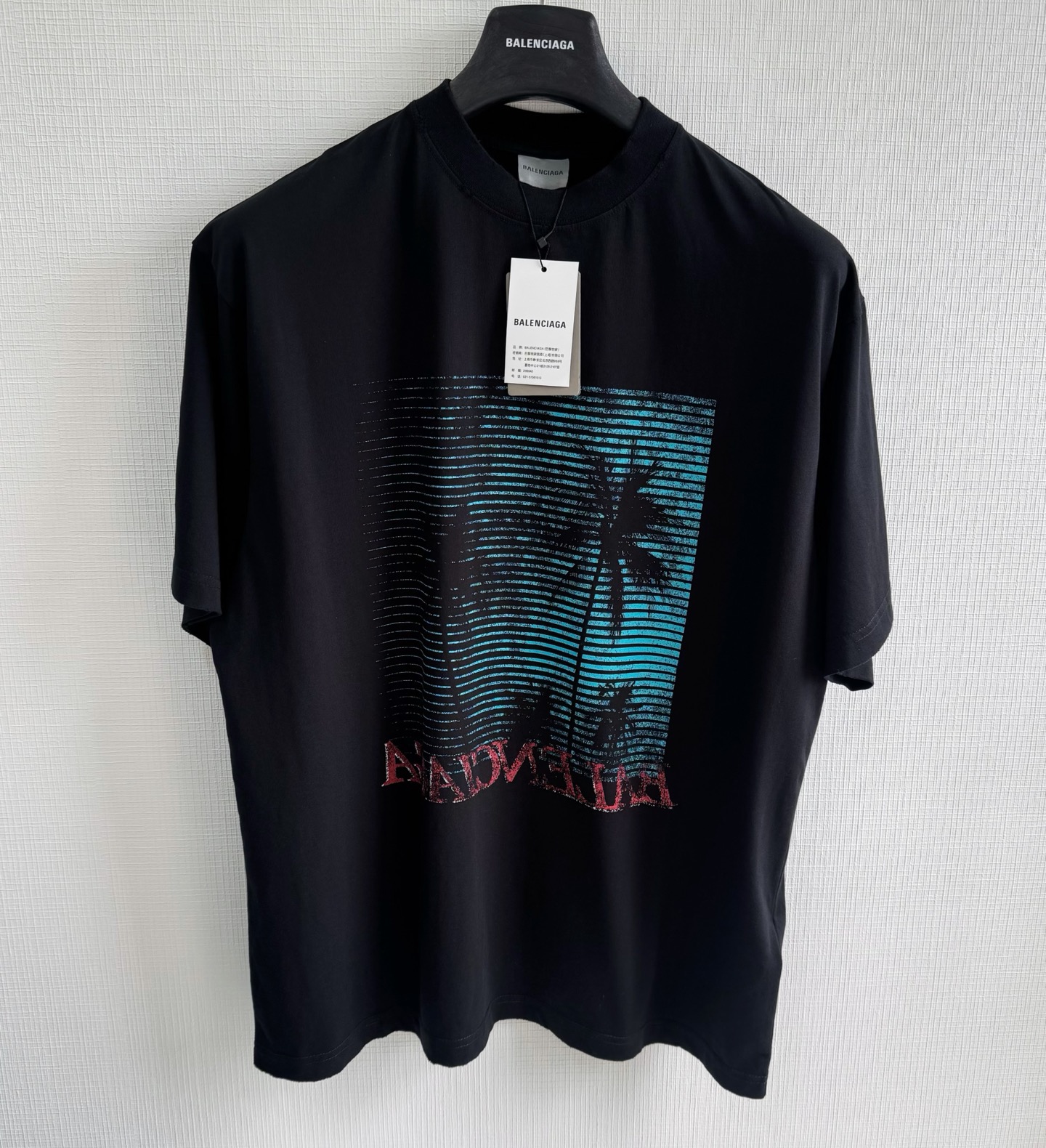 Balenciaga T-Shirt – TSHP3737