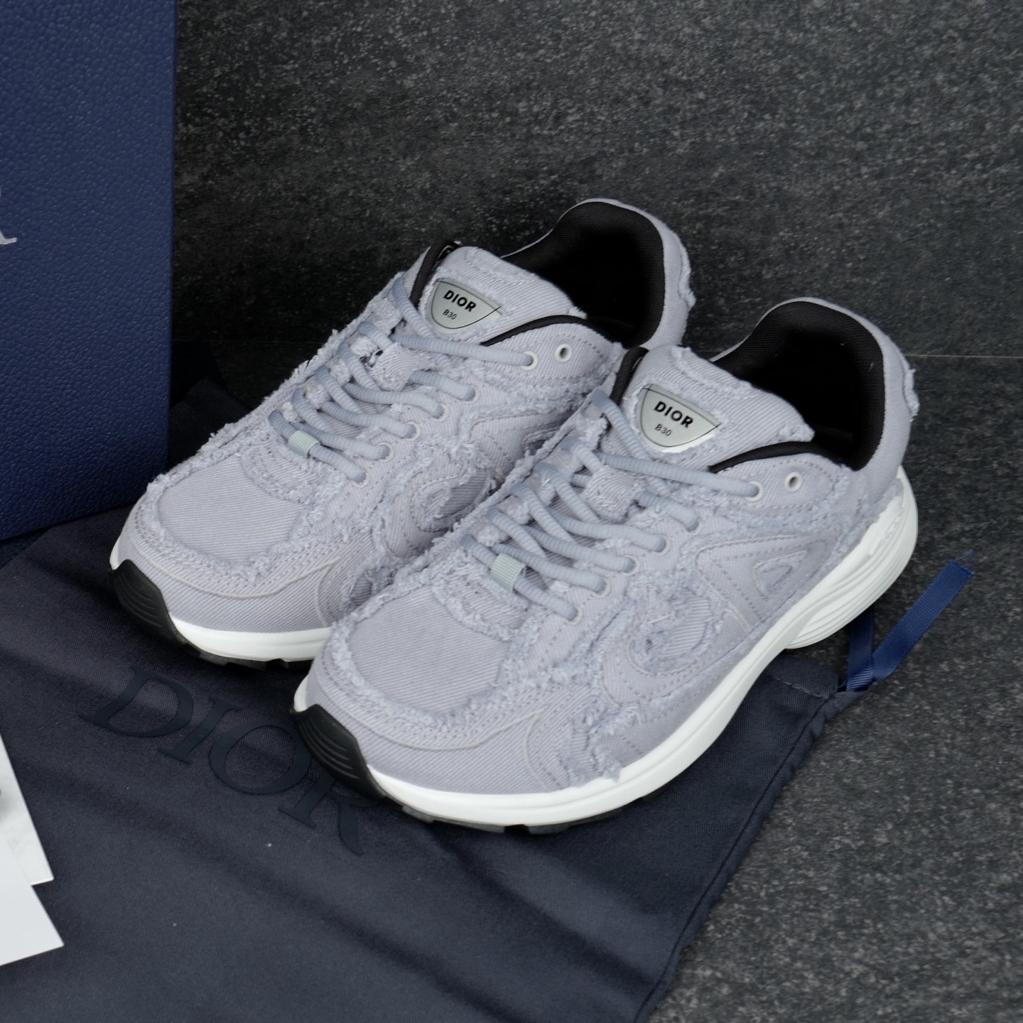 Dior B30 Sneaker – DIOR1389