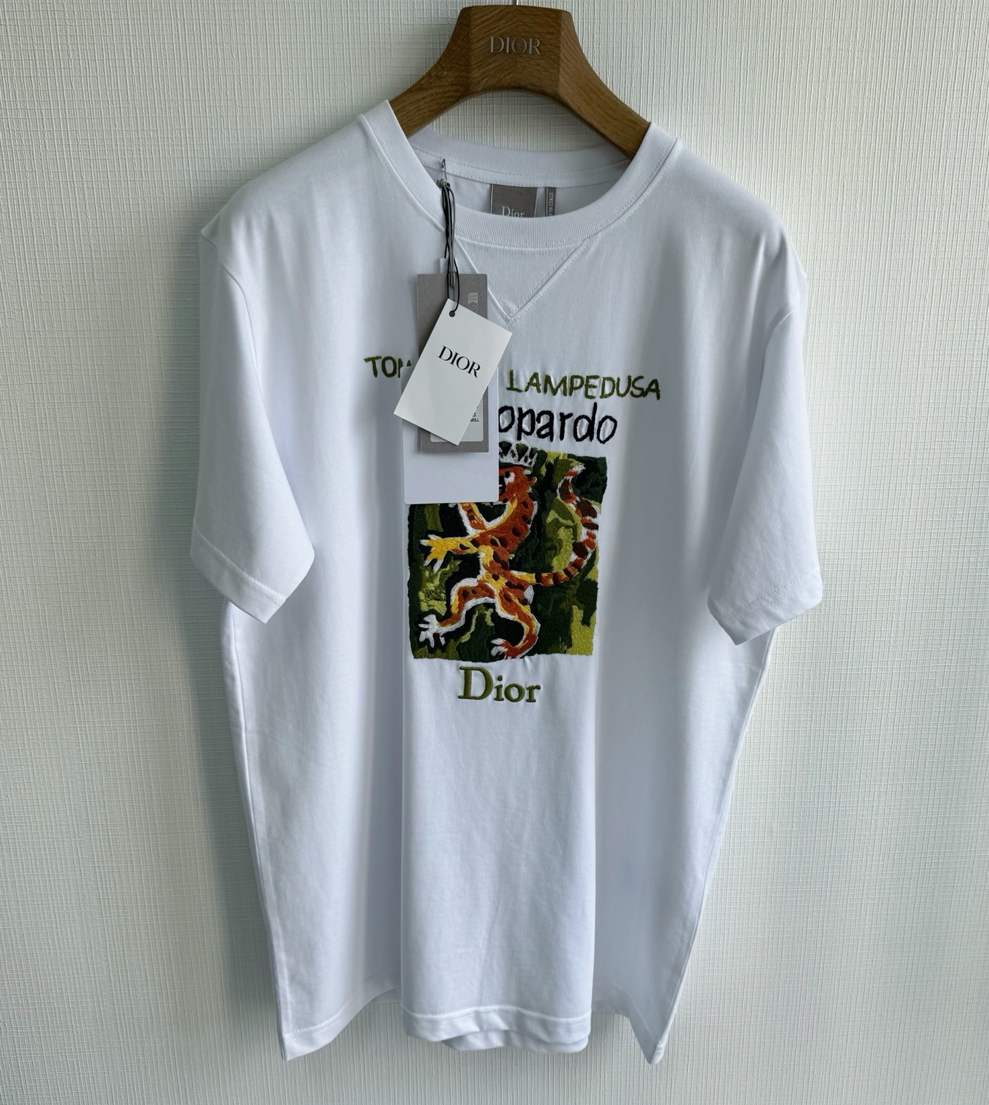 Dior T-Shirt – TSHP3926